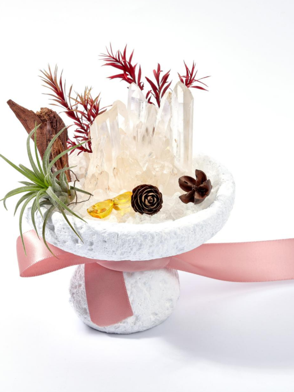 Clear Quartz Mushroom Crystal Bonsai Garden