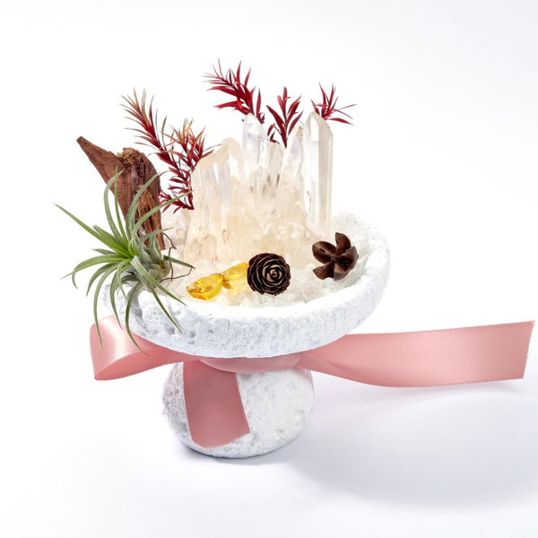 Clear Quartz Mushroom Crystal Bonsai Garden